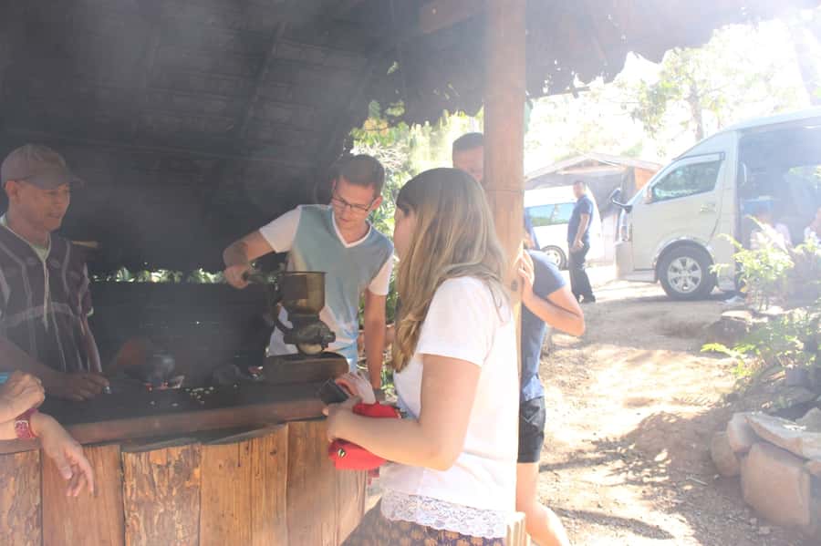 Chiang Mai: Doi Inthanon National Park with Ticket & Lunch - Twin stupas, gardens, and royal history