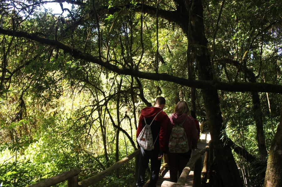Chiang Mai: Doi Inthanon National Park with Ticket & Lunch - A generous Thai lunch near the rice fields