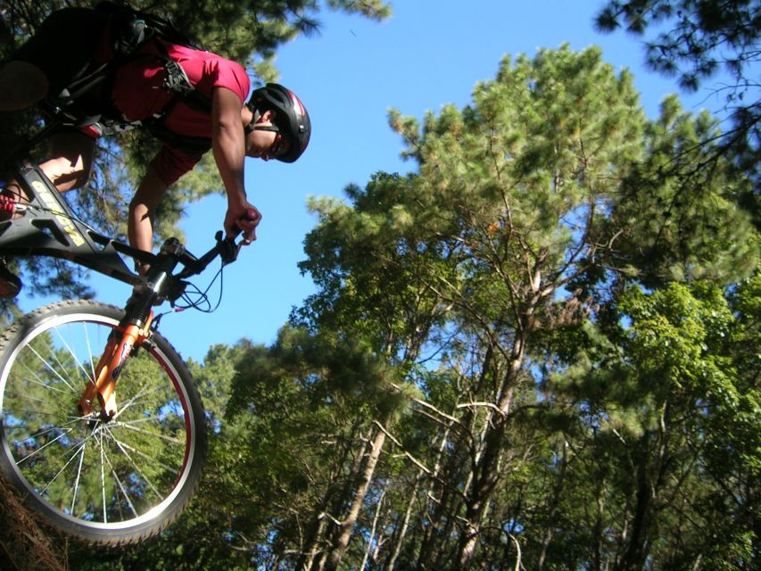 Chiang Mai: Doi Suthep National Park Leisure Hiking & Biking - The downhill ride: fun, scenic, and not traffic-free