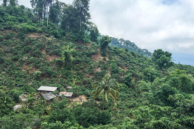 Chiang mai Hike & Downhill Bike Adventure –Suthep National Park - Huay Tueng Thao Lake and the well-earned finish