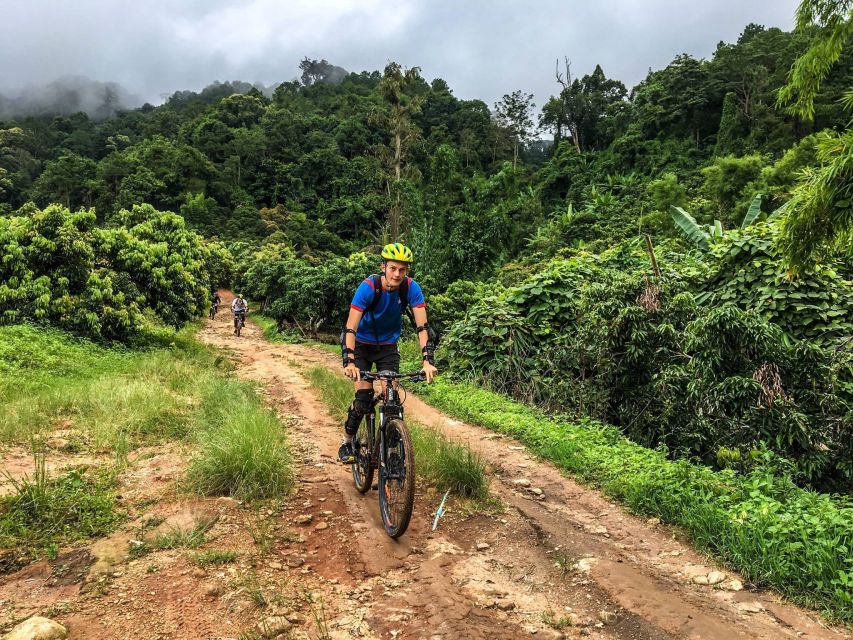 Chiang Mai: Suthep National Park Hiking & DH Mountain Biking - A six-hour mountain day above Chiang Mai