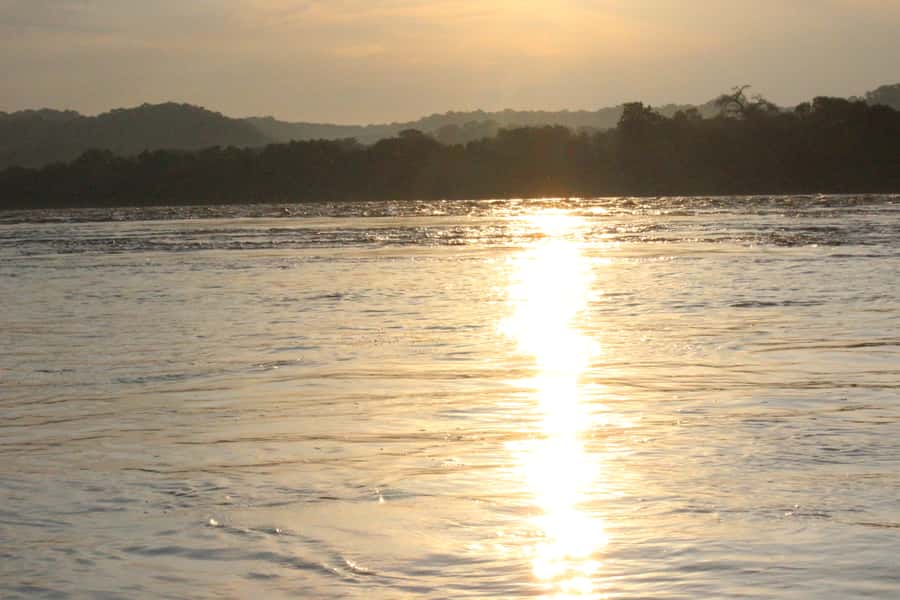 Chobe National Park: Game Drive, Boat Tour, and Lunch - The afternoon Chobe River cruise