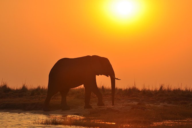 Chobe National Park Game Drive, Botswana - Why Chobe works so well for a short safari