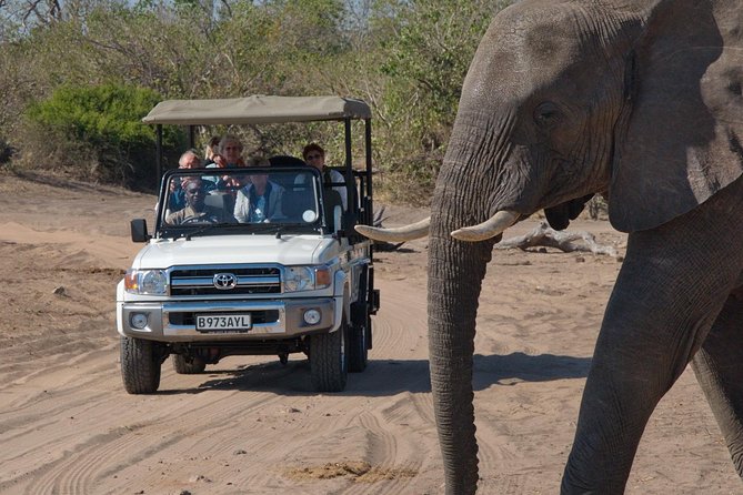 Chobe National Park Game Drive, Botswana - Snacks, refreshments, and the halfway pause