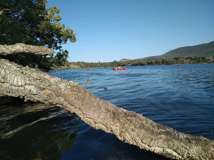 Circeo National Park:Guided kayak tour on the Lake Sabaudia - Why Lake Paola is the right place for a quiet paddle