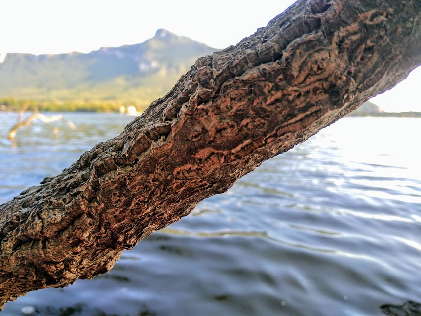 Circeo National Park:Guided kayak tour on the Lake Sabaudia - Who will enjoy this tour most