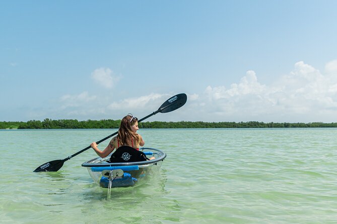 Clear Kayak Tour of Shell Key Preserve and Tampa Bay Area - Why the clear kayak makes a difference