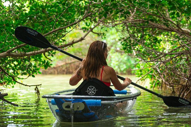 Clear Kayak Tour of Shell Key Preserve and Tampa Bay Area - Paddling through open water and mangroves