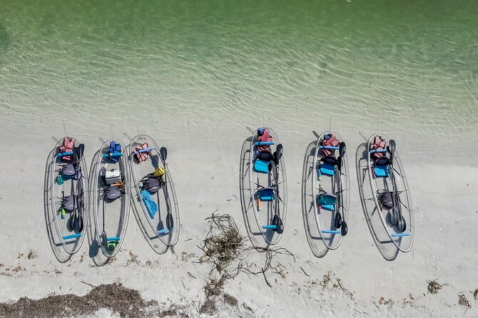 Clear Kayak Tour of Shell Key Preserve and Tampa Bay Area - Shell Key beach, shells, and sandbars