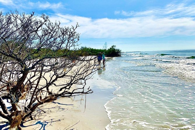 Clear Kayak Tour of Shell Key Preserve and Tampa Bay Area - How much effort should you expect?