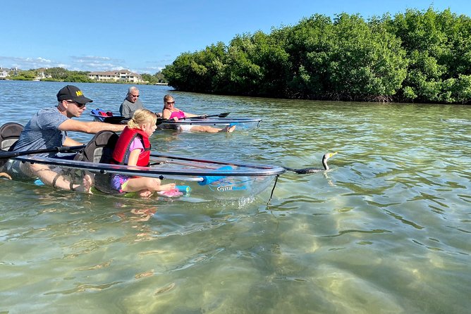Clear Kayak Tour of Shell Key Preserve and Tampa Bay Area - Is $79 a fair price?