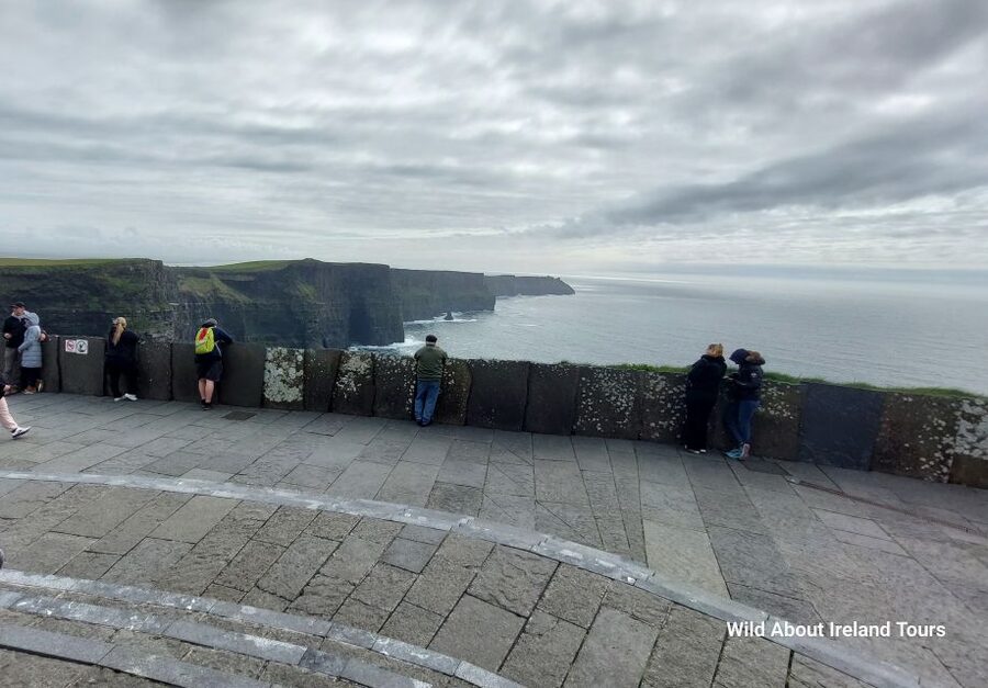 Cliffs of Moher and National Park Private Limousine Tour - Key points to know before booking