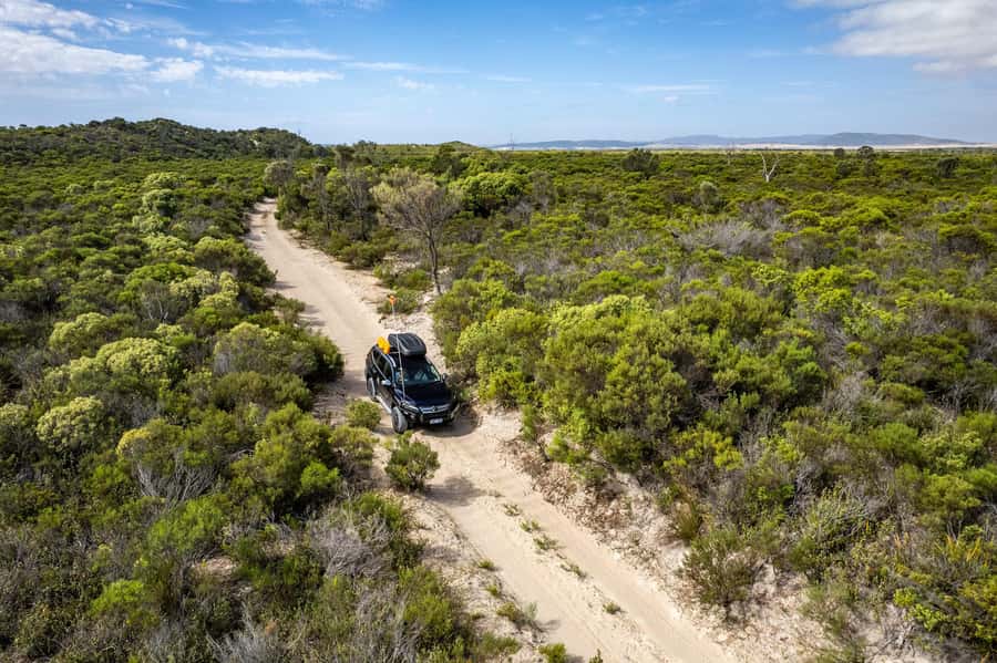 Coffin Bay National Park: Highlights and Off-Road 4WD Tour - Why this four-hour Coffin Bay tour works