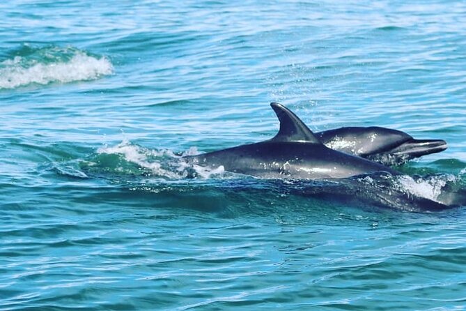 Combo Tour Marino Ballena National Park - Snorkeling, swimming, and the fruit break