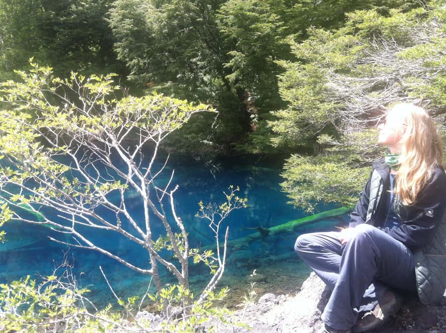 Conguillío National Park Tour, Full day - Laguna Verde and the changing view of Llaima