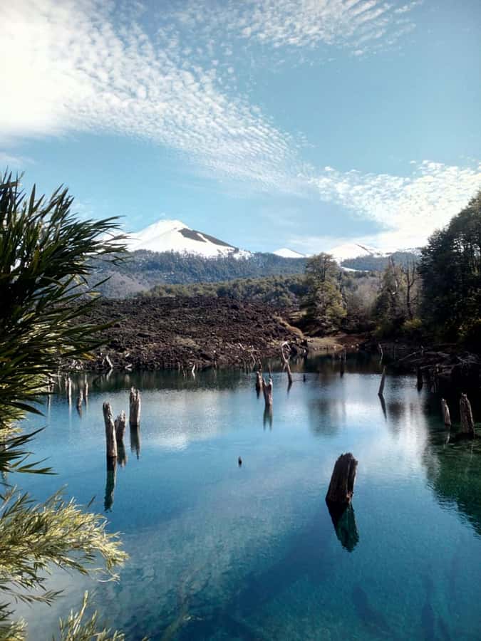 Conguillío National Park Tour, Full day - What the guide adds