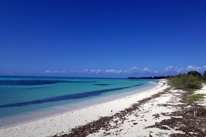 Cozumel National Park and Beach Break: Private Tour - The island loop starts with Cozumel’s wild coast