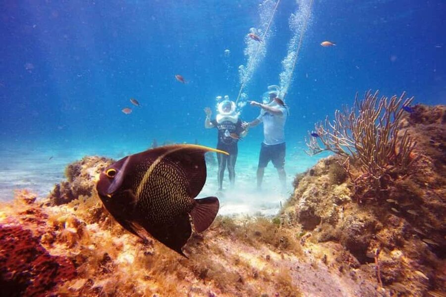 Cozumel: Sea Trek Adventure at Chankanaab National Park - The orientation and equipment setup