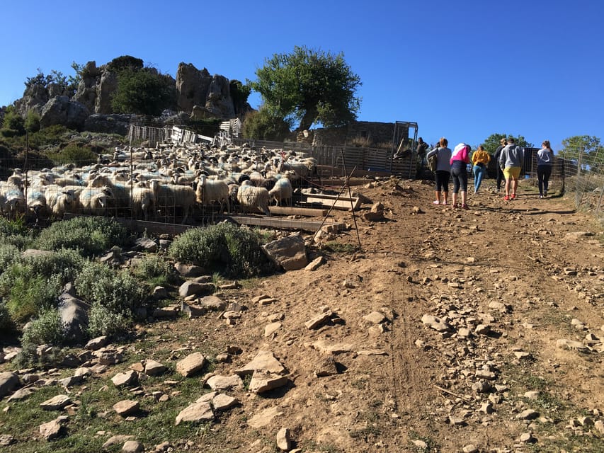 Crete: White Mountains Preserve Day Tour - Who will enjoy this day most