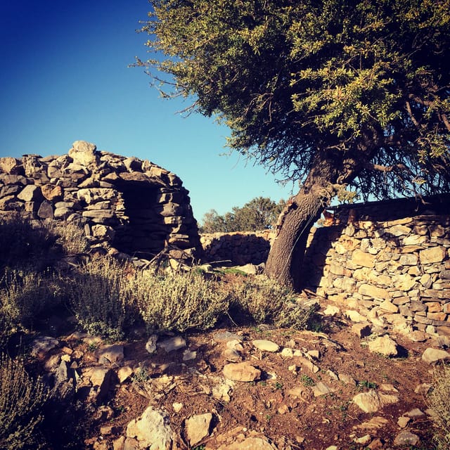 Crete: White Mountains Preserve Day Tour - Meskla and the mountain villages