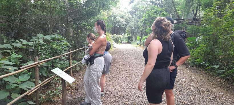 Cuc Phuong National Park Hiking Tour - Why Cuc Phuong makes a good day trip