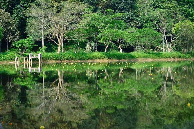 Cuc Phuong National Park Private Day Tour: Trekking & Primates - Why Cuc Phuong works as a full-day escape from Hanoi