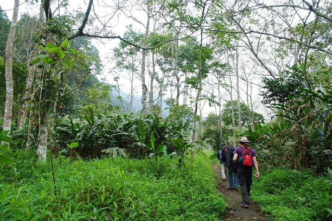 Cuc Phuong National Park Private Day Tour: Trekking & Primates - Meeting rescued primates at the conservation center