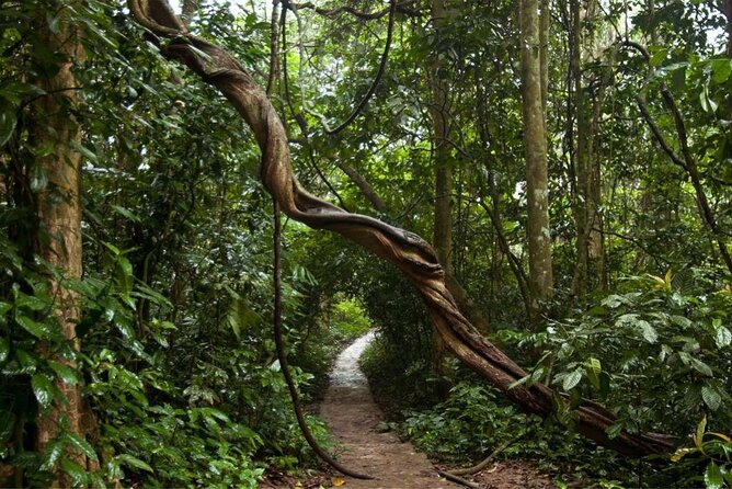 Cuc Phuong National Park Private Day Tour: Trekking & Primates - The private format and the guide