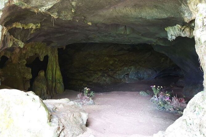 Cuc Phuong National Park Private Day Tour: Trekking & Primates - Is $99 a fair price?