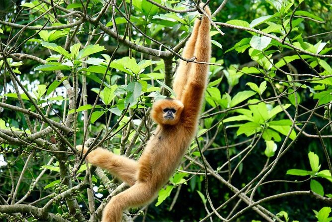 Cuc Phuong National Park Private Day Tour: Trekking & Primates - Who should book this active park day?