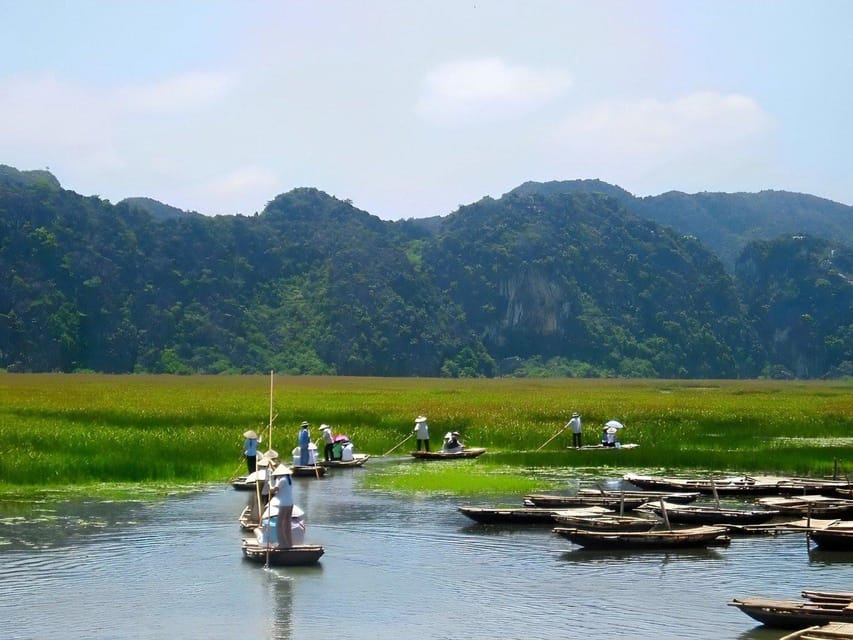 CUC PHUONG NATIONAL PARK - VAN LONG DAI LY TOUR DAY TRIP - Why combine Cuc Phuong and Van Long?