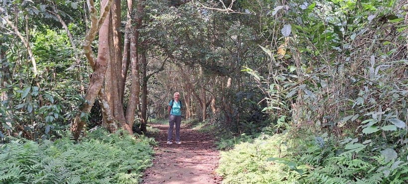 Cuc Phuong National Park - Van Long Day Trip From Hanoi - Key points before you book