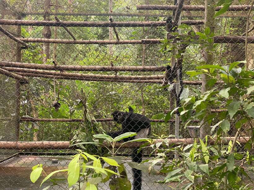 Cuc Phuong National Park - Van Long Day Trip From Hanoi - Who will get the most from this tour