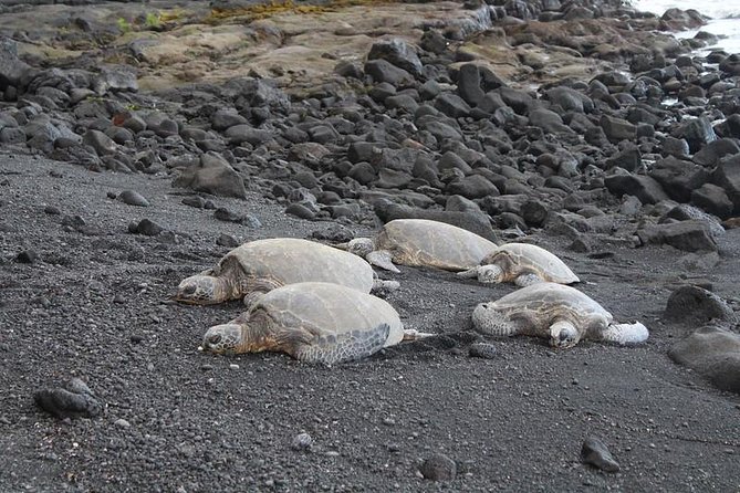 Custom Volcanoes National Park Tour with extra stops - Why a private volcano tour can be worth the price