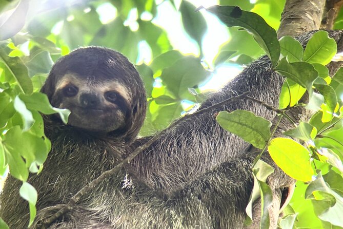 Customized Nature Walk in Manuel Antonio National Park - Key points to know before you book