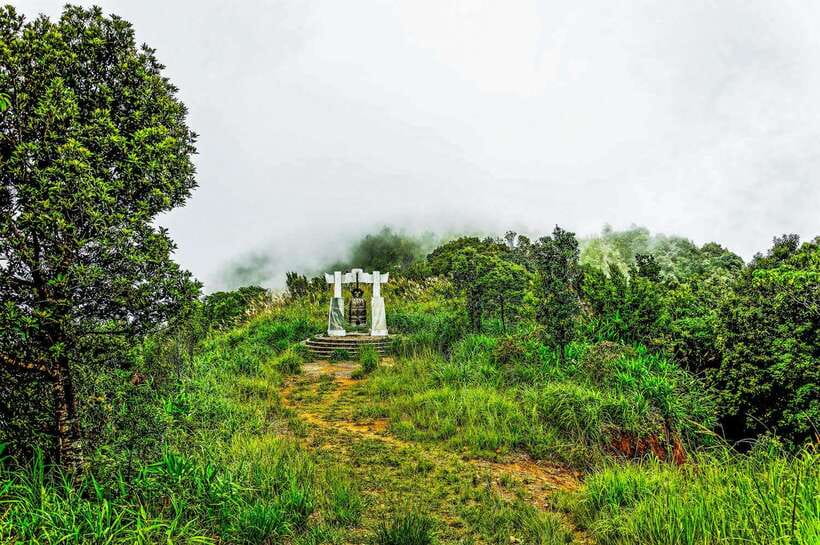 Da Nang: Bach Ma National Park Trek And Beach Retreat - The ride up Bach Ma’s steep mountain road