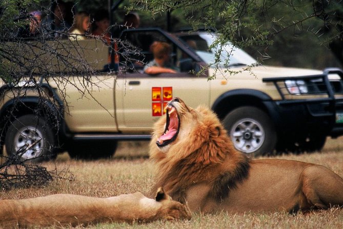 Daily Pilanesberg National Park Private Shuttle Services - A private road to Sun City or Pilanesberg
