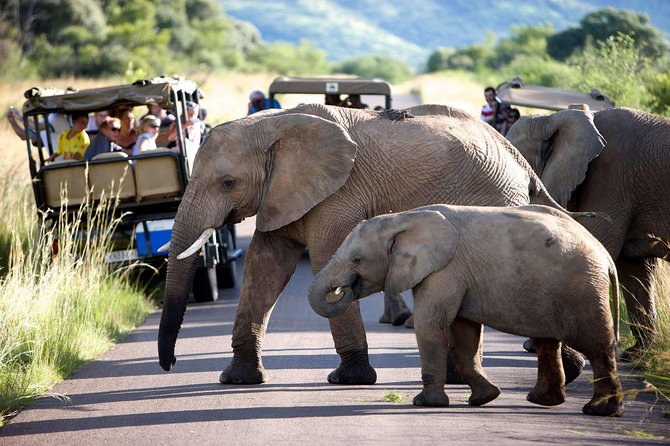 Daily Pilanesberg National Park Private Shuttle Services - The ride through Gauteng and Rustenburg
