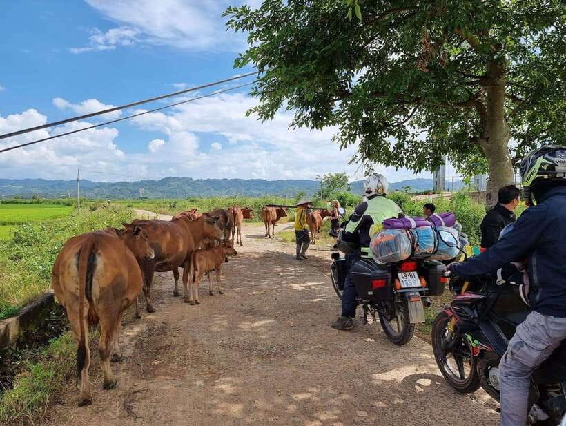 Dalat to Cat Tien National Park & Ho Chi Minh (2 or 3 Days) - The 7 p.m. night safari in Ta Lai