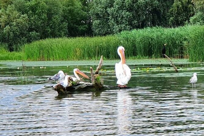 Danube Delta - Private Tour with Boat Trip & Traditional Lunch - Villages, local life, and the human side of the delta