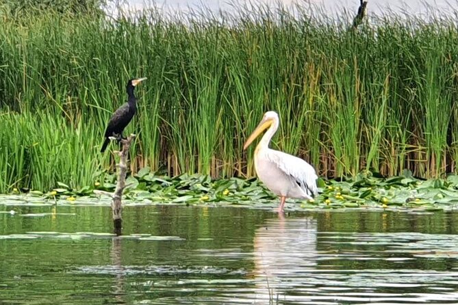 Danube Delta - Private Tour with Boat Trip & Traditional Lunch - Who should book this Danube Delta day trip