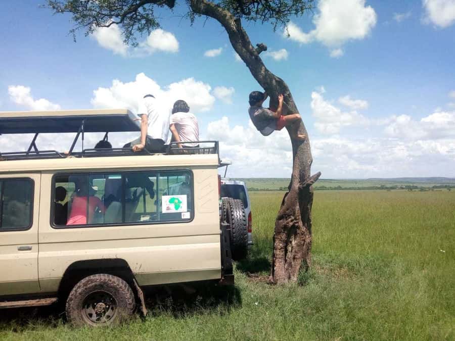 Dar el Salam: Full-Day Mikumi National Park Tour - The long return to Dar es Salaam