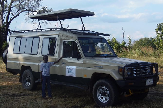 Dar Es Salaam: Day Trip Safari to Mikumi National Park by Train - Lunch at about 1:00pm