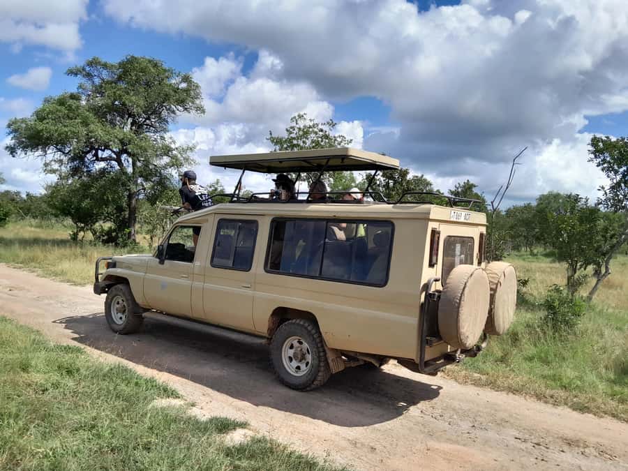 Dar es Salaam: Mikumi National Park Day Trip with Train Ride - Why the train makes this safari different
