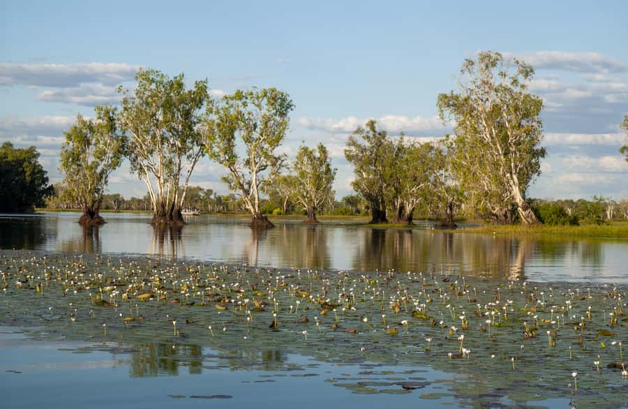 Darwin: Kakadu National Park Day Trip - Why flying is the smart way to see Kakadu in one day