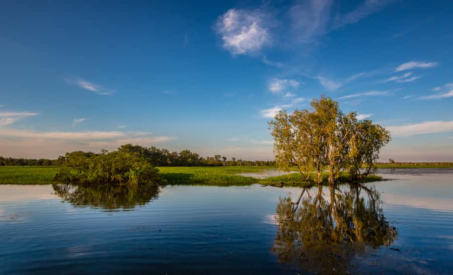 Darwin: Kakadu National Park Day Trip - Is $636 good value?