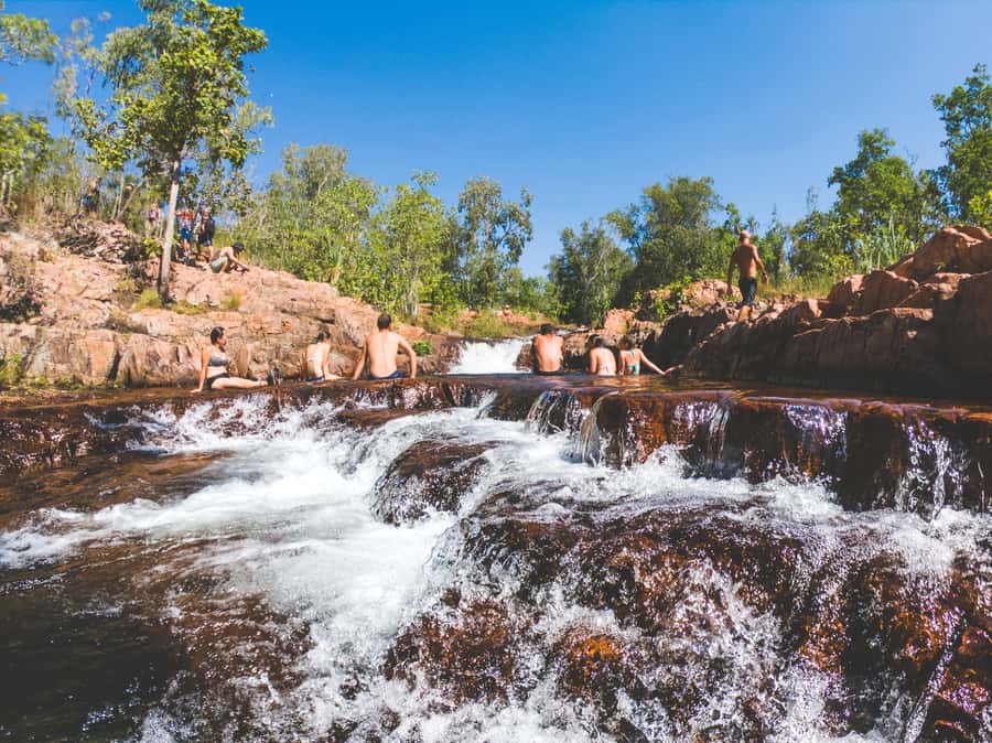 Darwin: Litchfield National Park Waterfalls & Wildlife Tour - Key points to know before booking