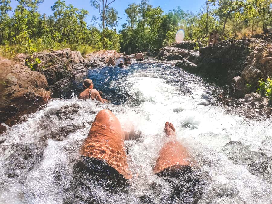 Darwin: Litchfield National Park Waterfalls & Wildlife Tour - Guides who shape the day