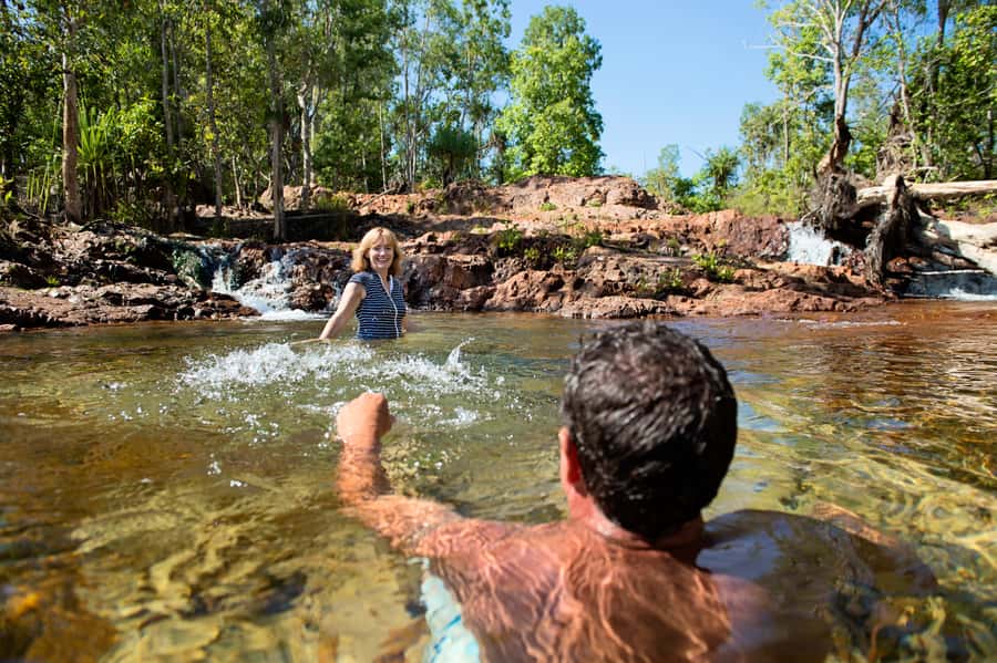 Darwin: Litchfield National Park Waterfalls & Wildlife Tour - The Magnetic Termite Mounds