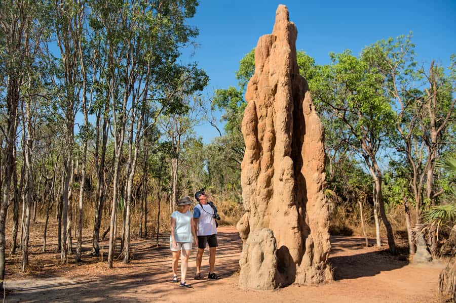 Darwin: Litchfield National Park Waterfalls & Wildlife Tour - Buley Rockhole feels more playful